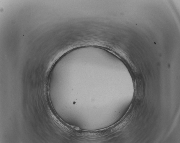 X0000066521500200603311741