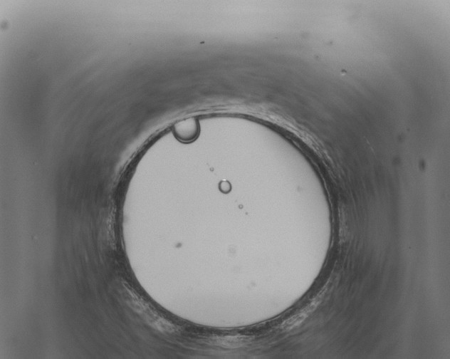 X0000066521502200603311741