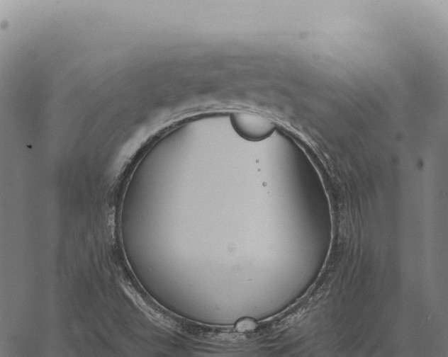 X0000066521503200603311741