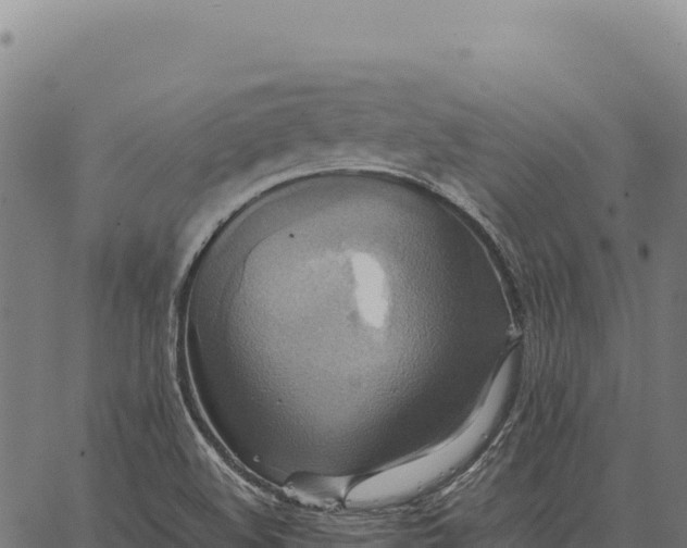 X0000066521508200603311741