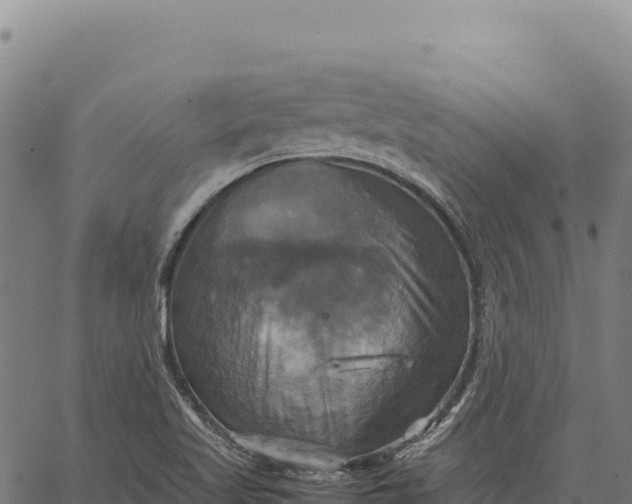 X0000066521509200603311741