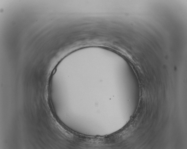 X0000066521512200603311741