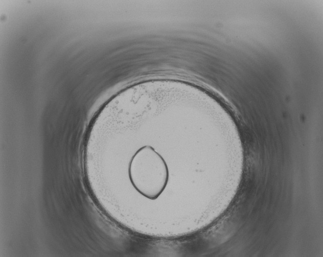 X0000066521514200603311741