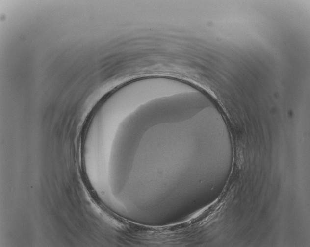 X0000066521515200603311741