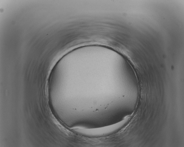 X0000066521516200603311741