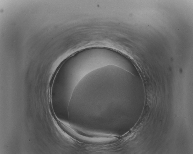 X0000066521519200603311741