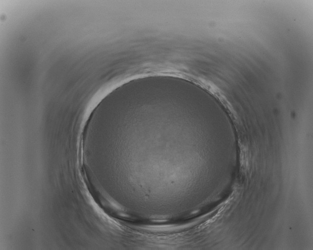 X0000066521520200603311741