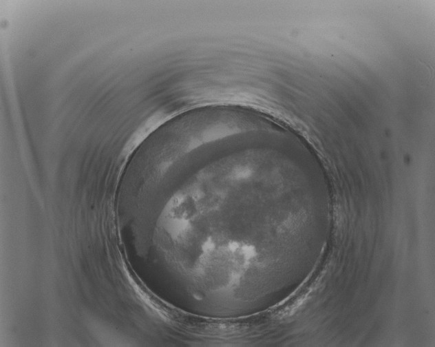 X0000066521521200603311742