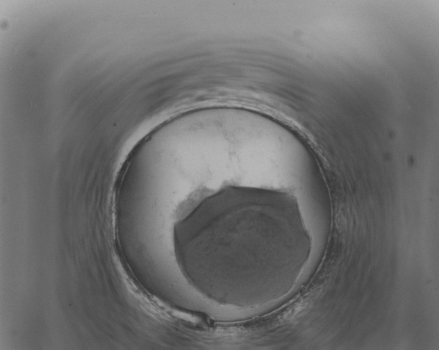 X0000066521522200603311742