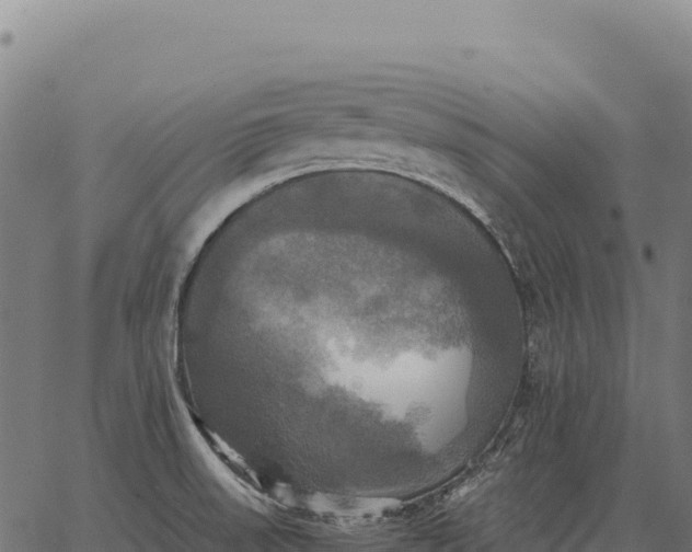 X0000066521523200603311742