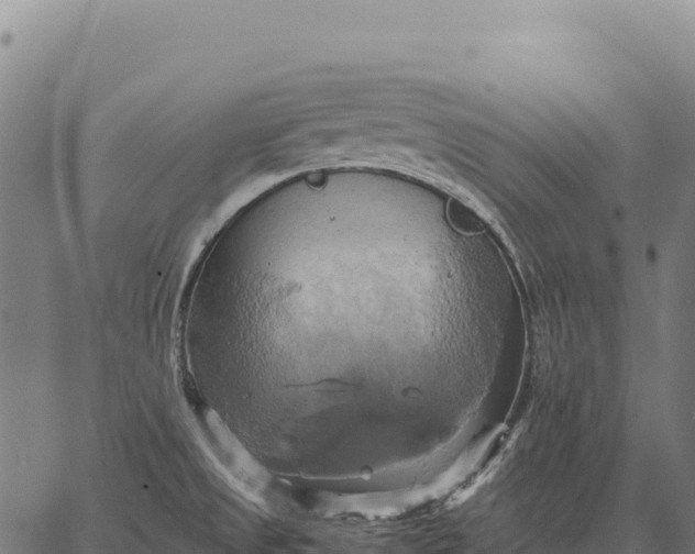 X0000066521525200603311742