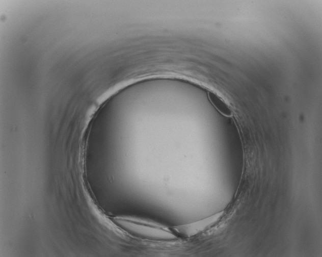 X0000066521526200603311742