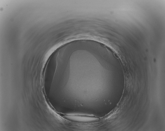 X0000066521527200603311742