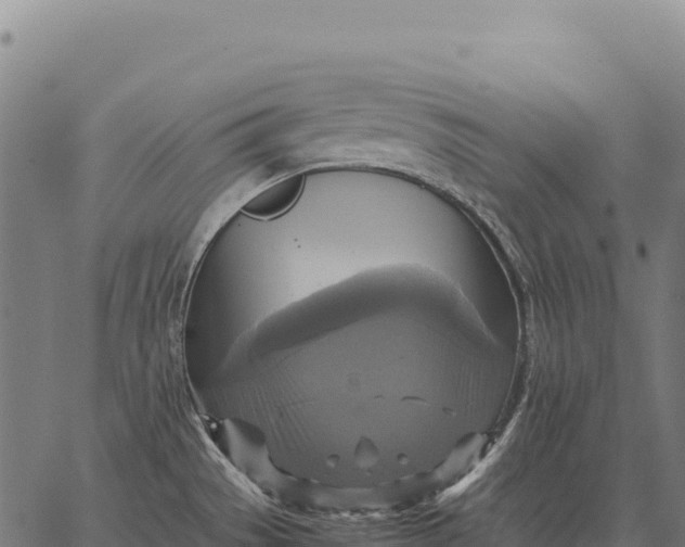 X0000066521529200603311742