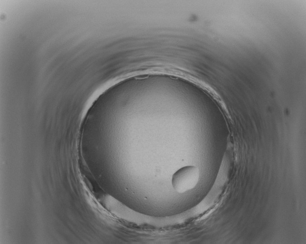 X0000066521530200603311742