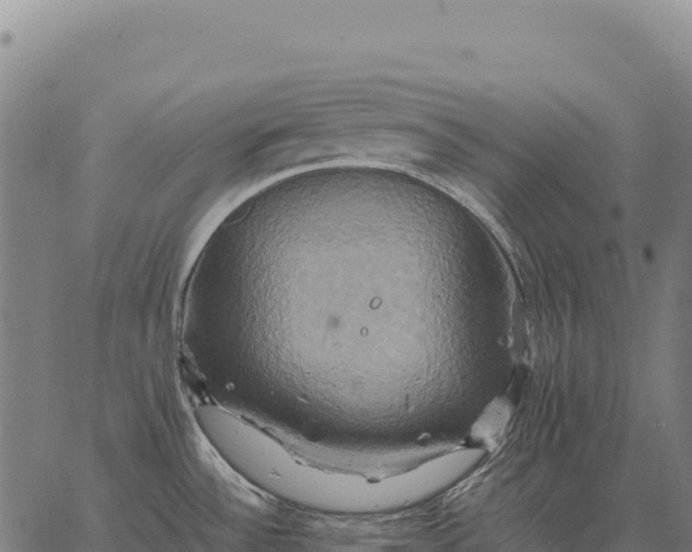 X0000066521532200603311742