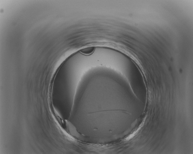 X0000066521533200603311742