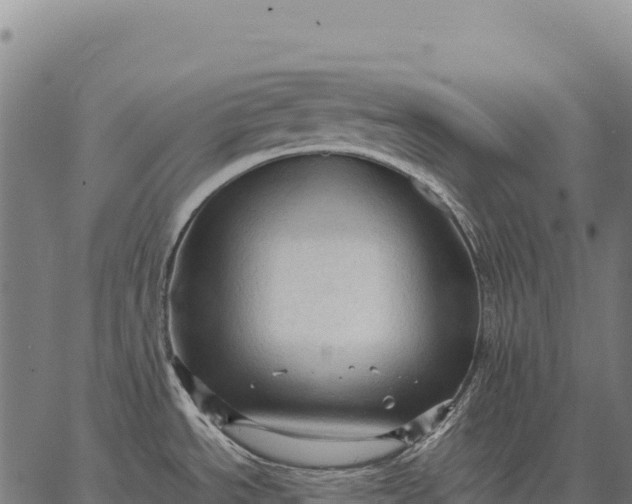 X0000066521534200603311742