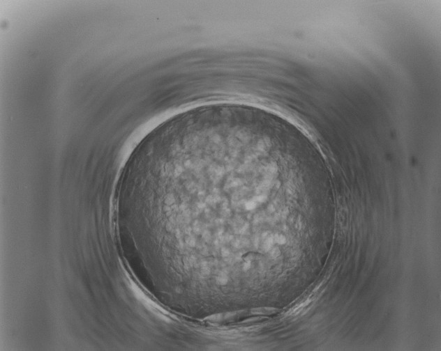 X0000066521535200603311742