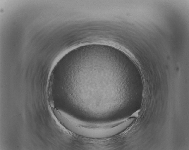 X0000066521536200603311742