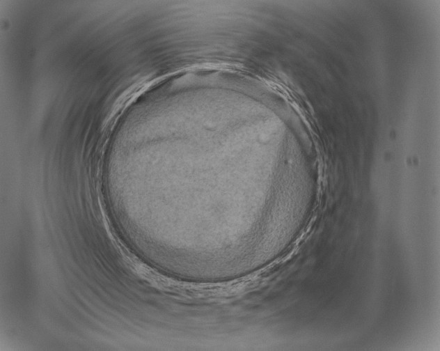 X0000066520001200604071603