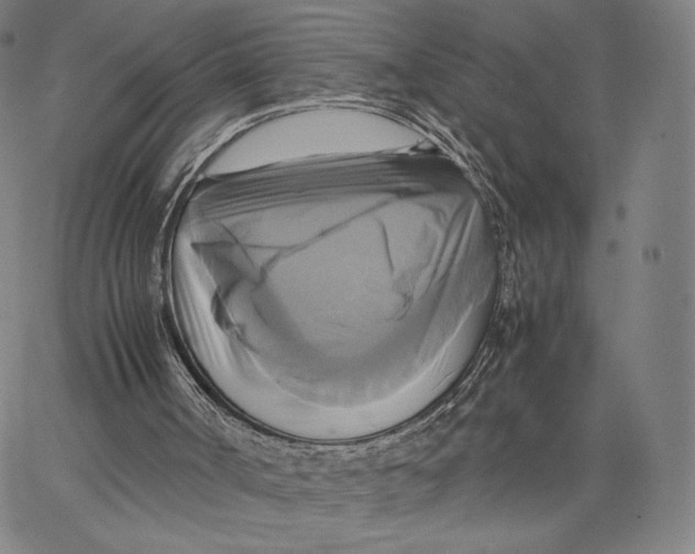 X0000066520002200604071603