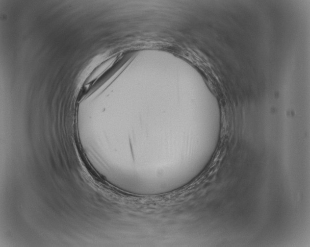 X0000066520003200604071603