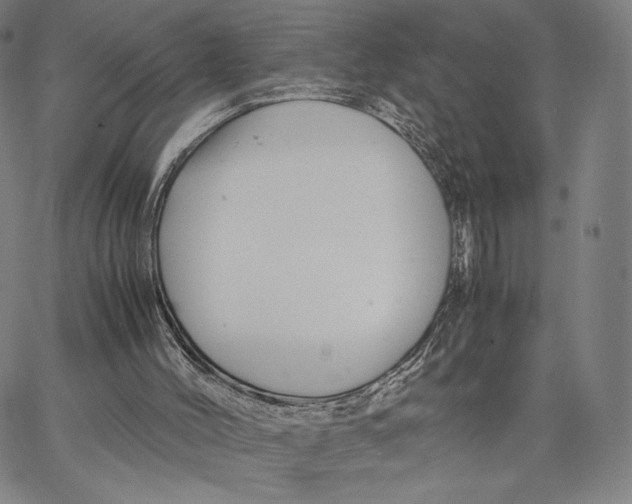 X0000066520004200604071603