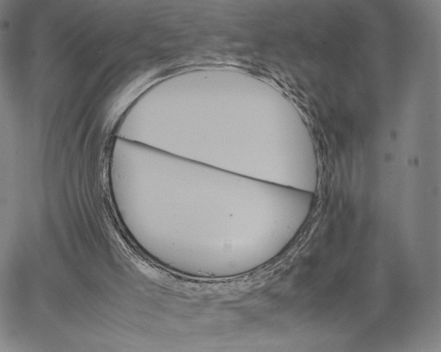 X0000066520005200604071603