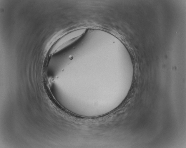 X0000066520007200604071603