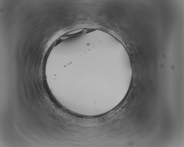 X0000066520008200604071603