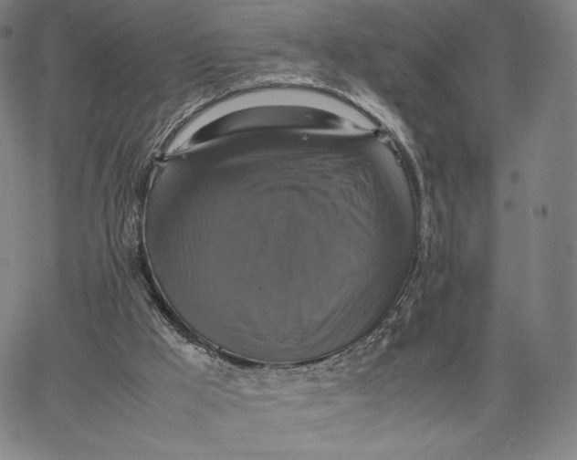 X0000066520009200604071603