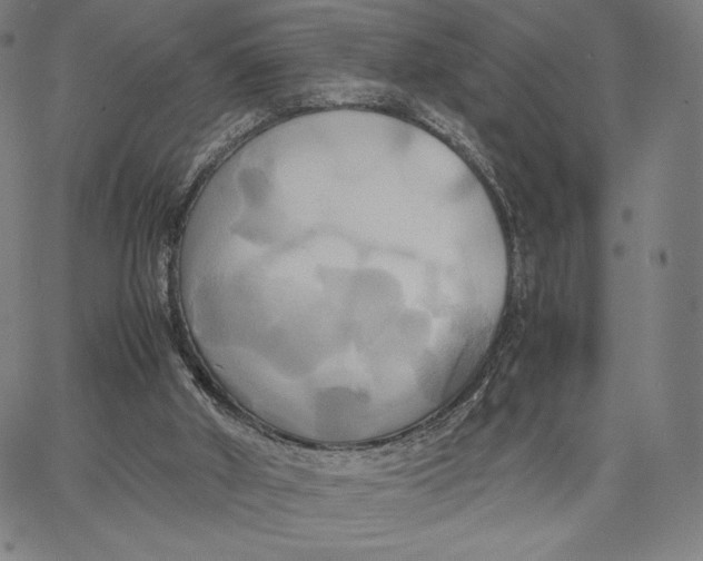 X0000066520010200604071603