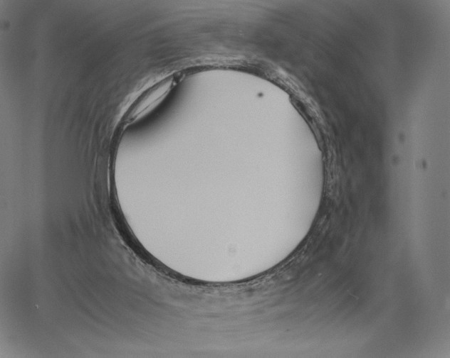 X0000066520011200604071603