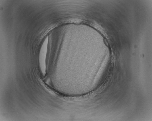 X0000066520013200604071603