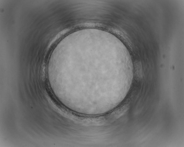 X0000066520016200604071603