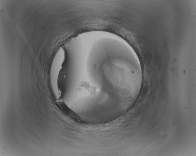 X0000066520017200604071603