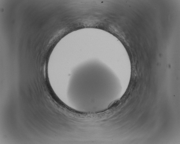 X0000066520019200604071603