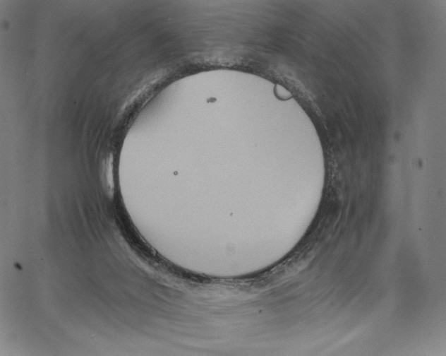 X0000066520020200604071603