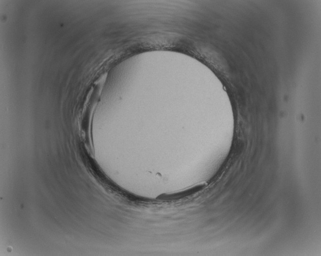 X0000066520021200604071603