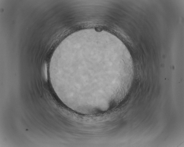 X0000066520022200604071603