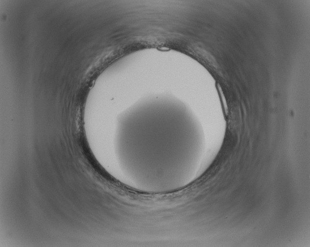 X0000066520023200604071603