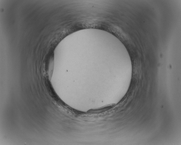 X0000066520025200604071603