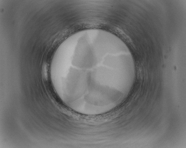 X0000066520026200604071603