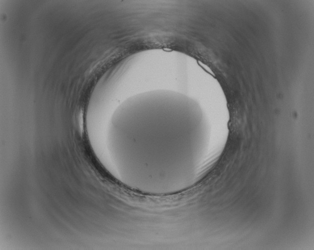 X0000066520027200604071603