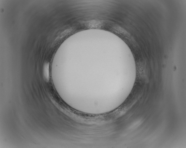 X0000066520028200604071603