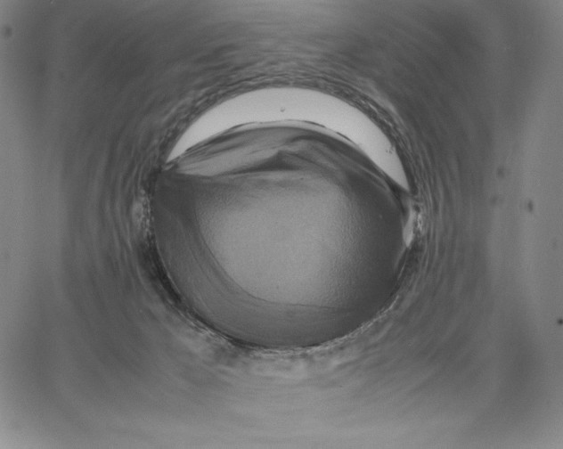 X0000066520029200604071603