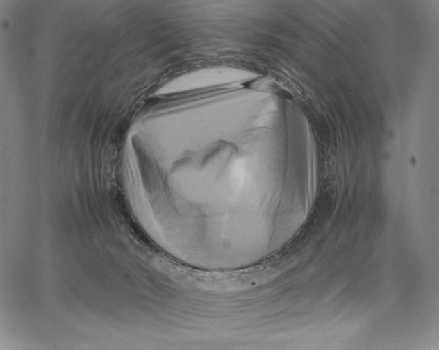 X0000066520030200604071603