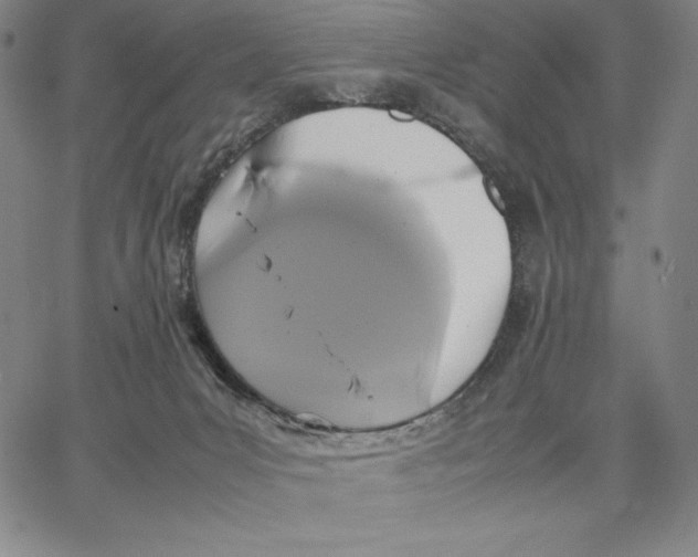 X0000066520031200604071603