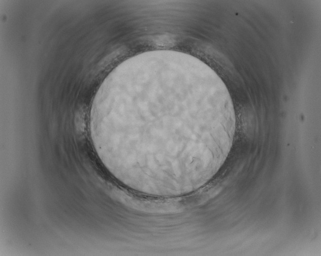 X0000066520032200604071603